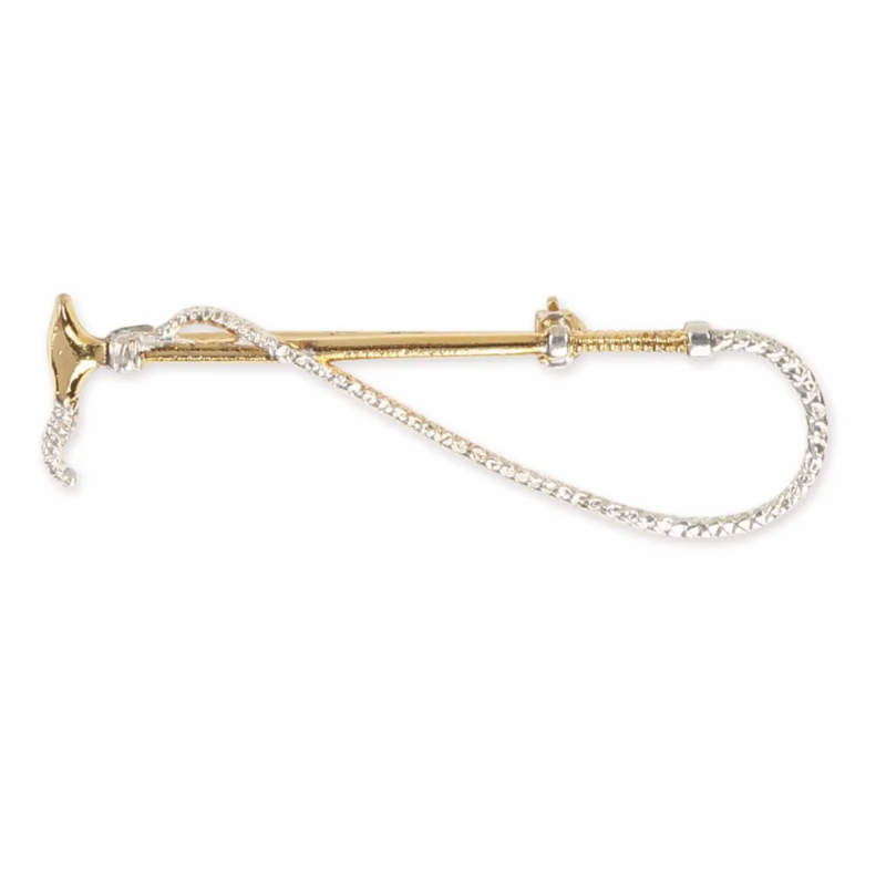 Shires Gold Crop and Thong Stock Pin