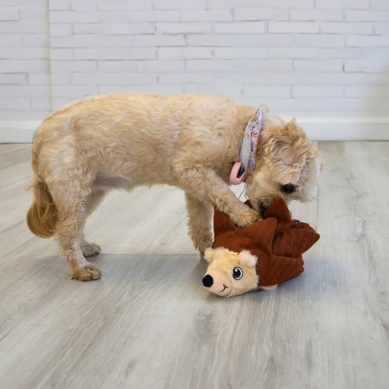 KONG Medium Dog Toy Layerz - Forage Hedgehog-3