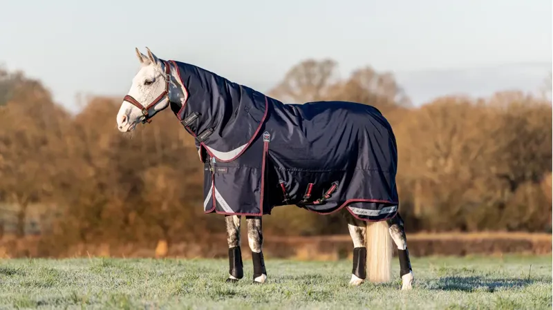 LeMieux Kudos Turnout Rug 100g - Navy
