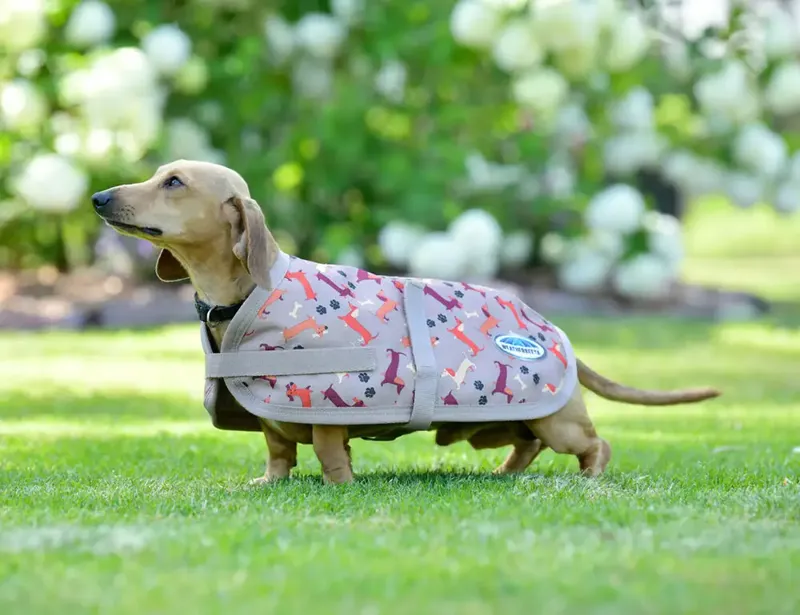 WeatherBeeta ComFiTec Essential Dog Coat - Dachshund Print