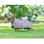 WeatherBeeta ComFiTec Essential Dog Coat - Dachshund Print