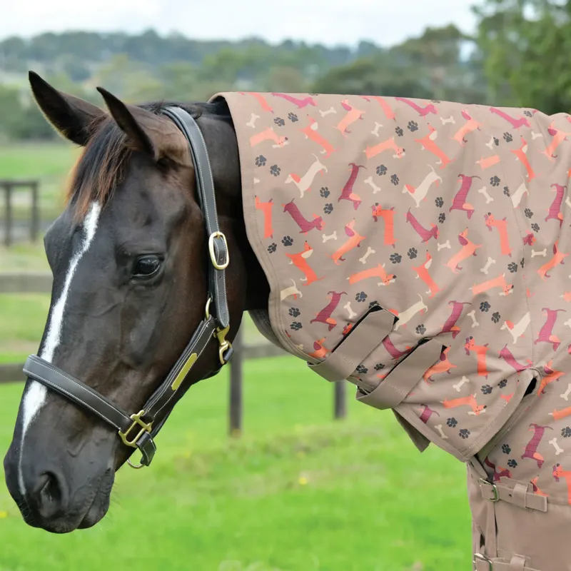WeatherBeeta ComFiTec Essential 220g Combo Turnout Rug - Dachshund Print-4