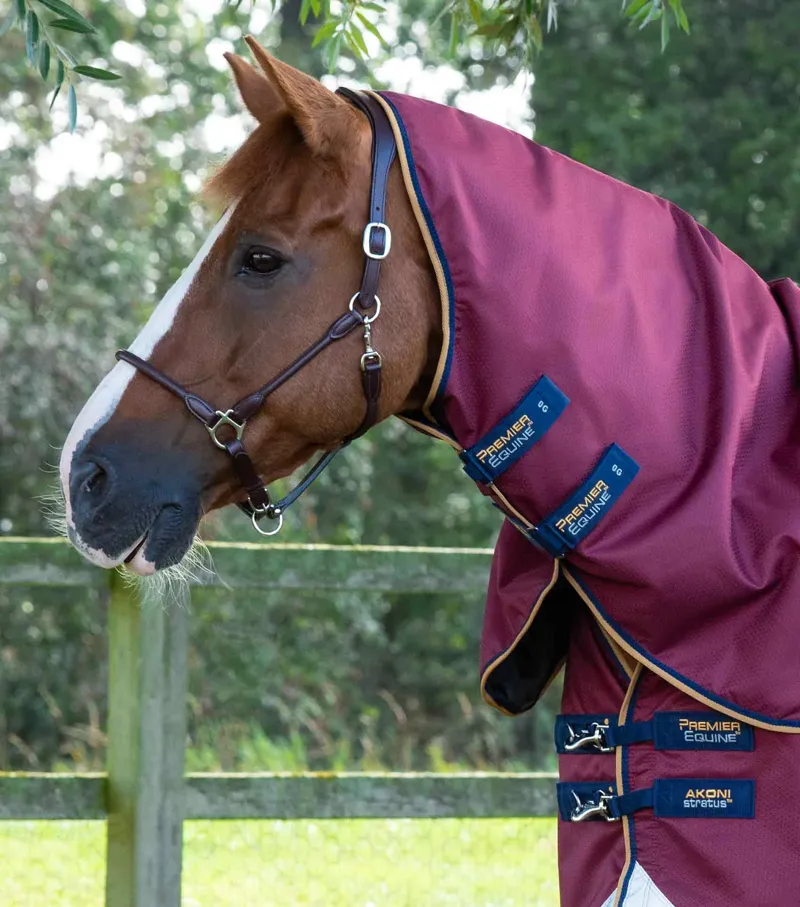 Premier Equine Akoni 0g Turnout Rug with Classic Neck Cover - Wine-1