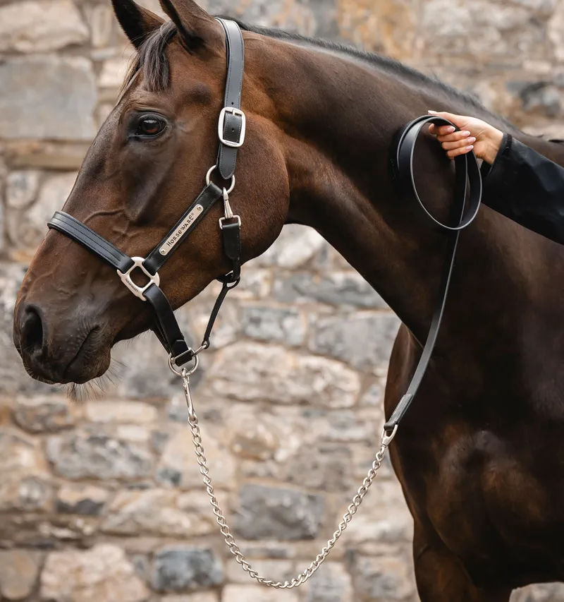 Horseware Signature Lead with Chain - Black-1
