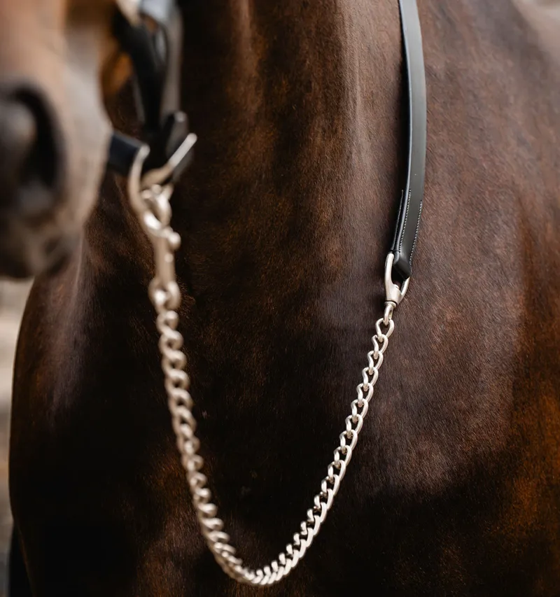 Horseware Signature Lead with Chain - Black-2