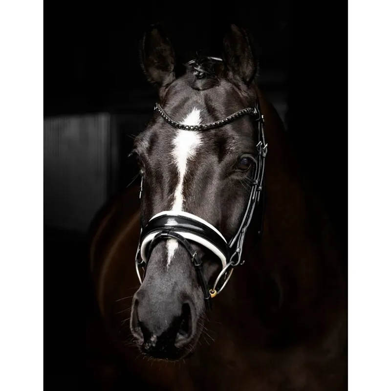 LeMieux Kudos Patent Dressage Bridle - Black/White-2