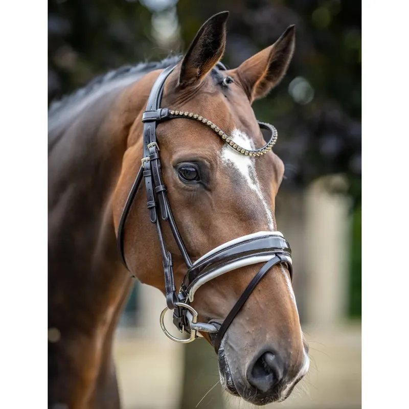 LeMieux Kudos Patent Dressage Bridle - Brown/White-2