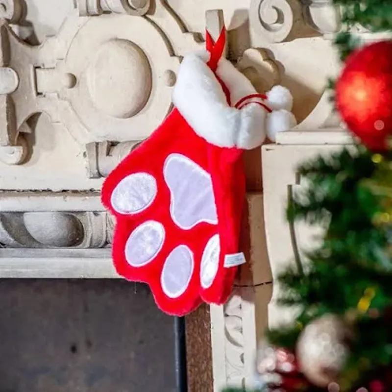 KONG Holiday Stocking Paw-1