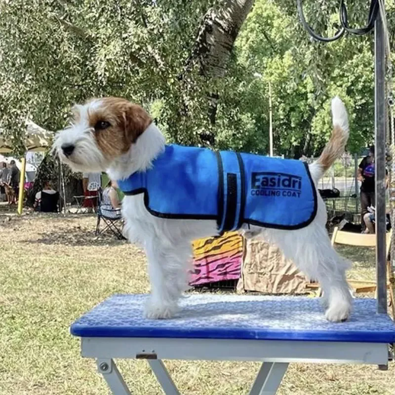 Easidri Cooling Dog Coat-6
