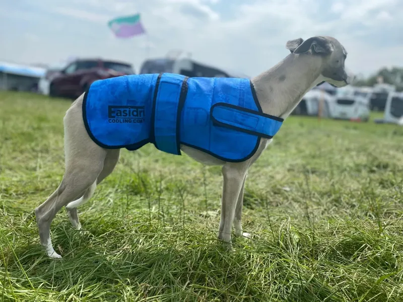 Easidri Cooling Dog Coat-4