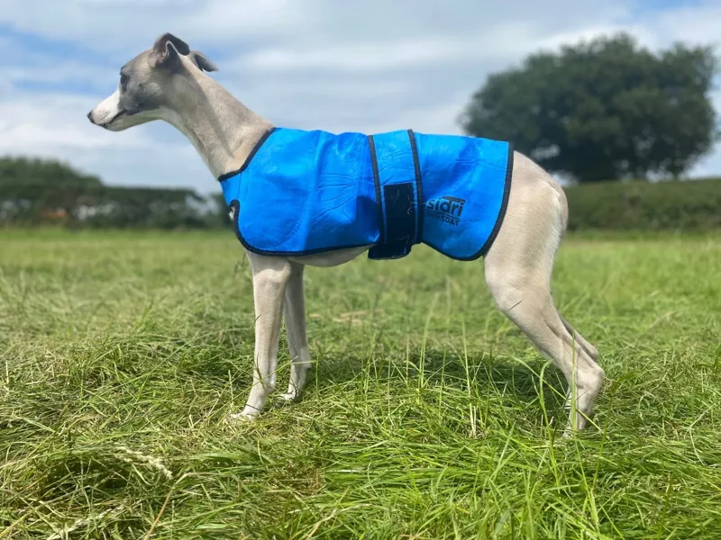 Easidri Cooling Dog Coat-3