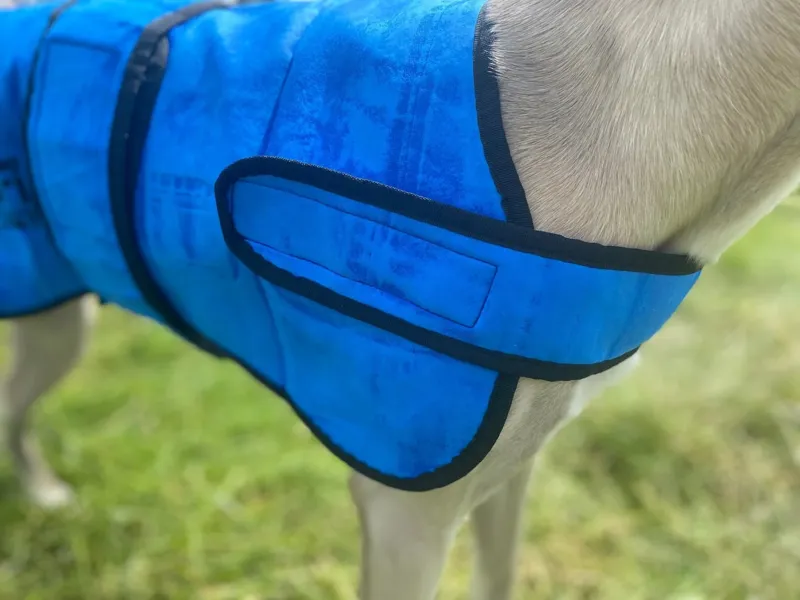 Easidri Cooling Dog Coat-5