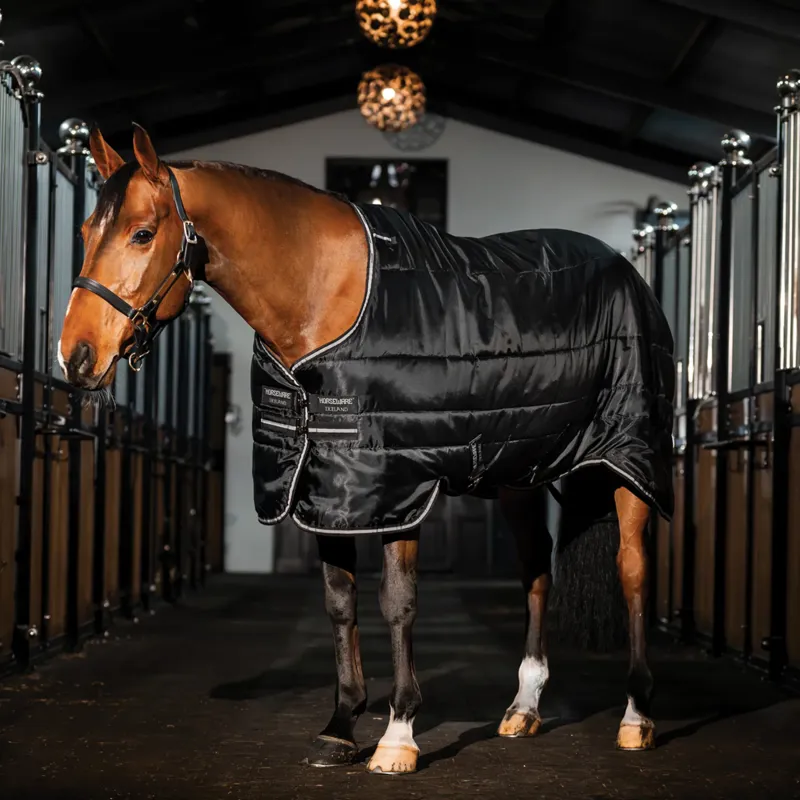 Horseware Easy-Layer 100g Stable Rug - Black/Silver-1