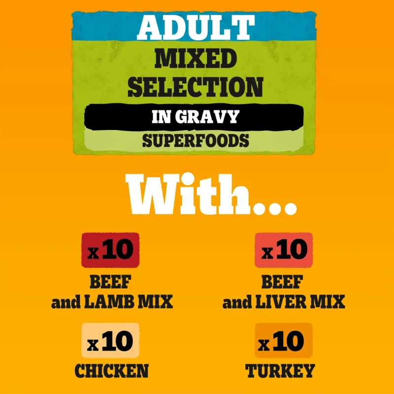 Pedigree Adult Wet Dog Food Mixed in Gravy 40 x 100g Mega Pack Pouch-1