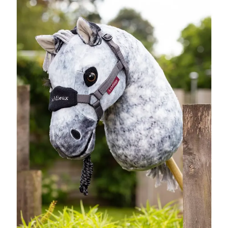 LeMieux Hobby Horse - Sammy-2