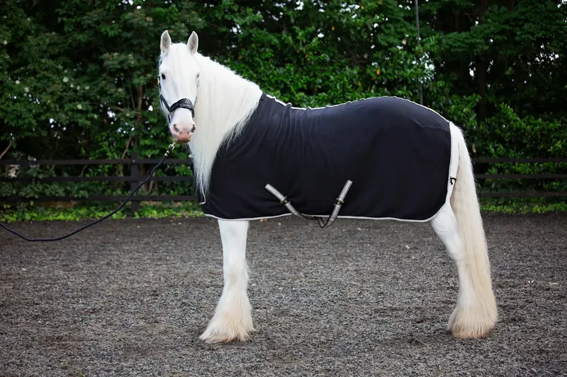 Cameo Elevate Show Rug - Black