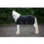 Cameo Elevate Show Rug - Black