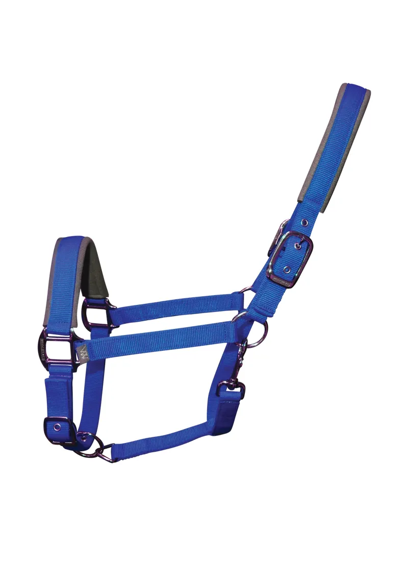 Woof Wear Contour Head Collar - Electric Blue