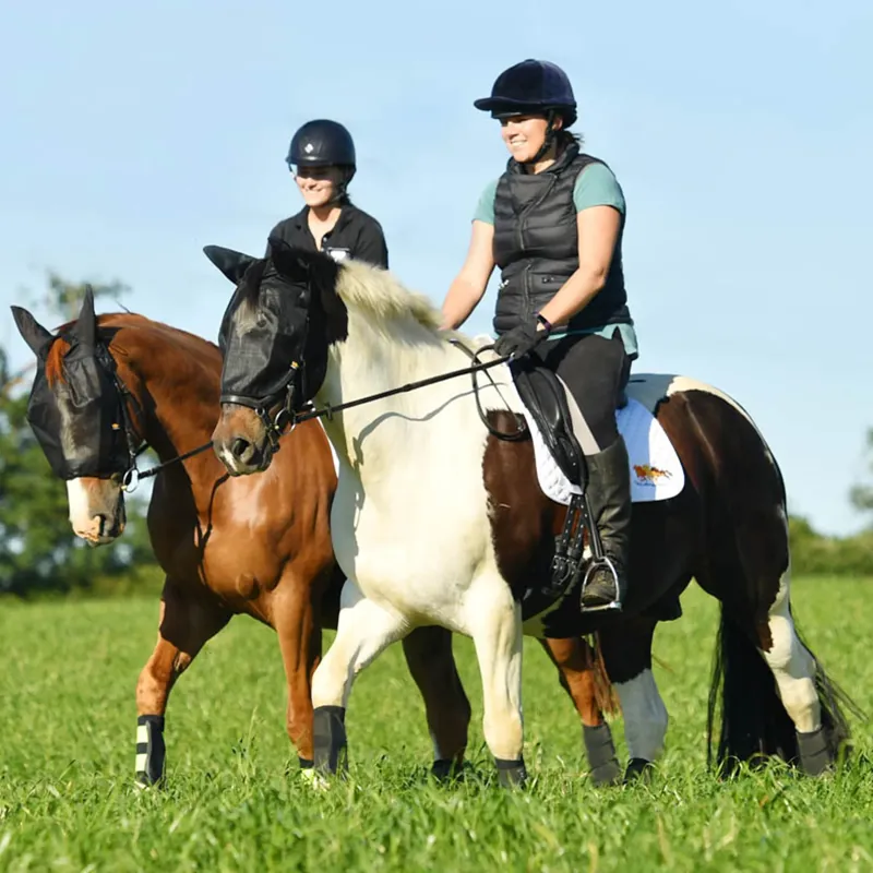 Equilibrium Net Relief Riding Fly Mask with Ears - Black-2