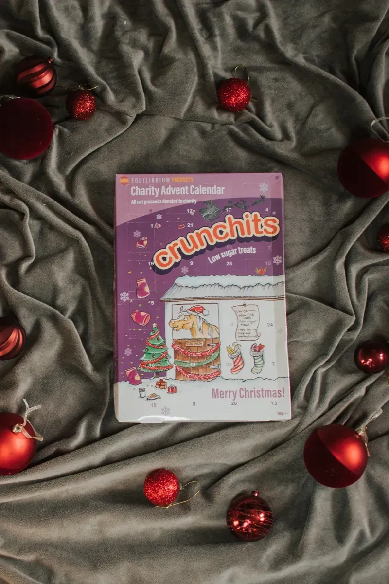 Equilibrium Crunchits Charity Advent Calendar -2