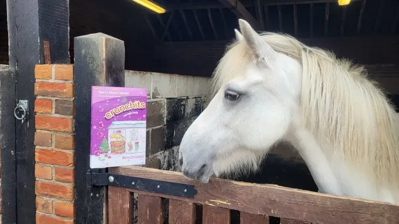Equilibrium Crunchits Charity Advent Calendar -5