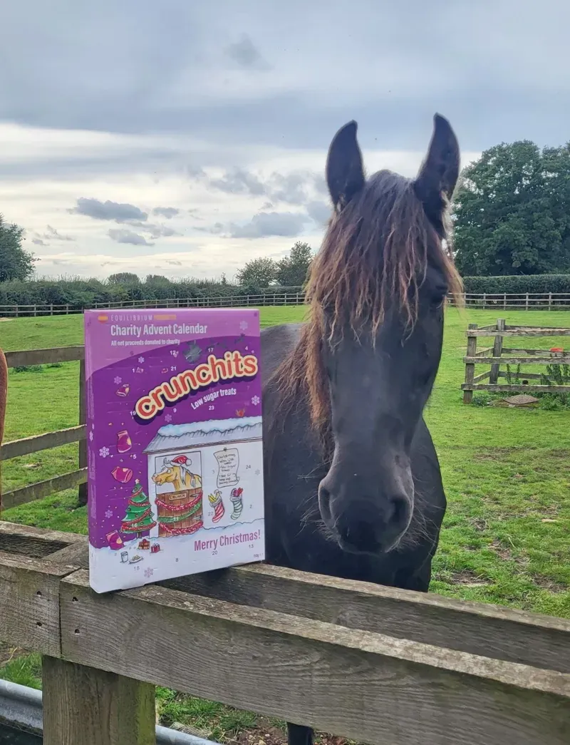 Equilibrium Crunchits Charity Advent Calendar -6
