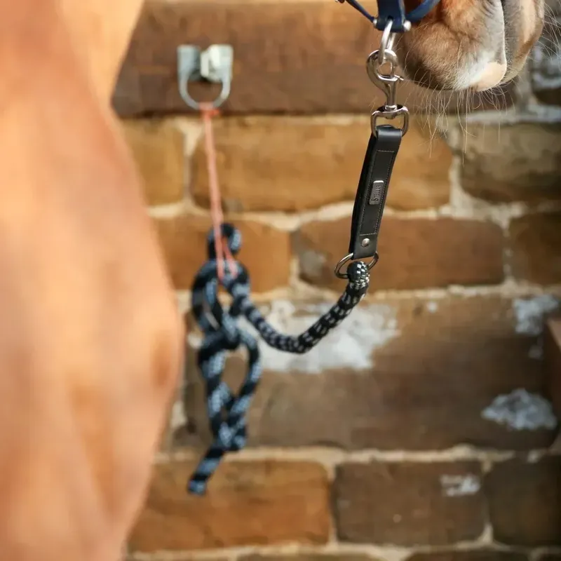 Equilibrium Stellar Safety Lead Rope - Black and White-4