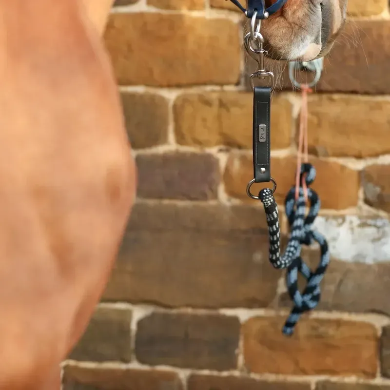 Equilibrium Stellar Safety Lead Rope - Black and White-5