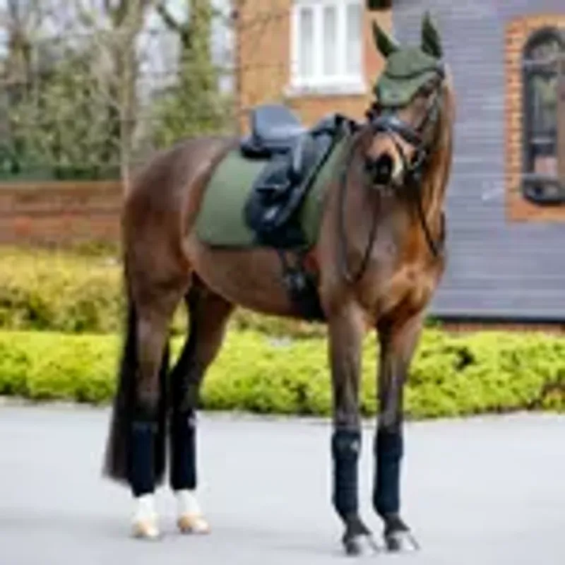 LeMieux Essence Dressage Square Saddlecloth - Pine Green-1