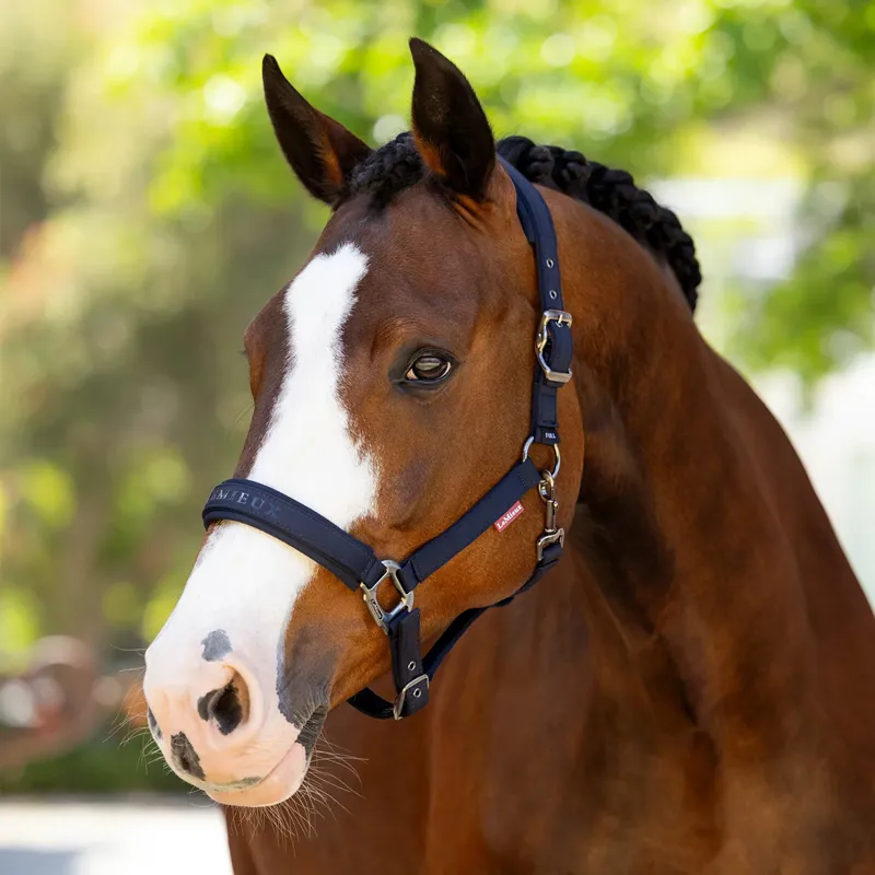 LeMieux Essence Headcollar - Navy-1