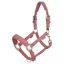 LeMieux Essence Headcollar - Rosewood