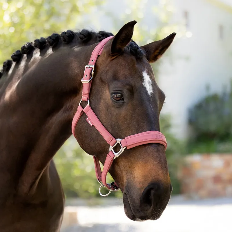 LeMieux Essence Headcollar - Rosewood-1