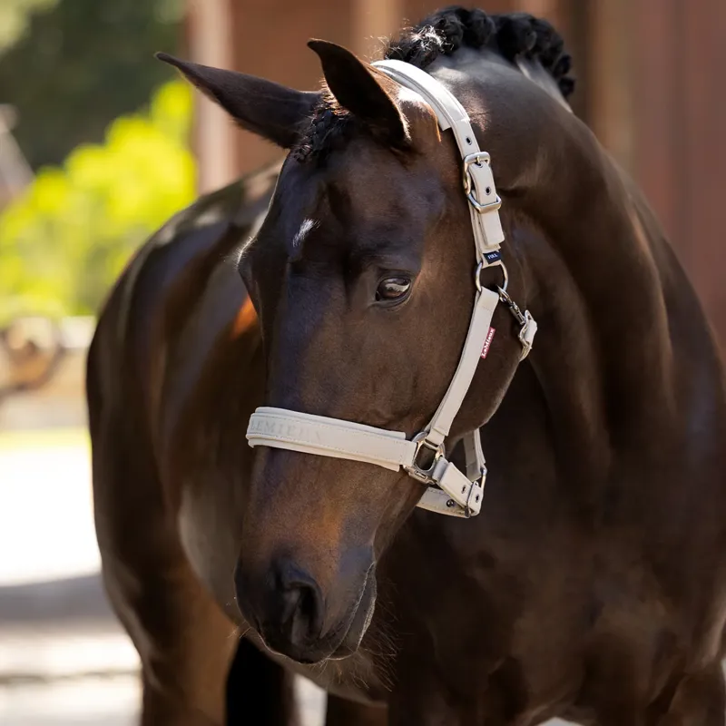 LeMieux Essence Headcollar - Stone-3