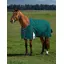 WeatherBeeta ComFiTec Plus 100G Dynamic Turnout Rug - Forest Green