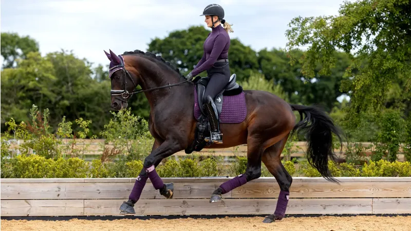 LeMieux Suede Dressage Square Small/Medium - Fig-2