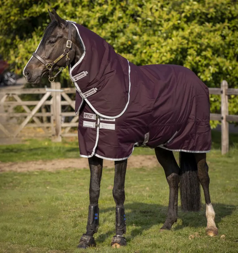 Horseware Amigo Hero Ripstop Plus 200g Turnout Rug - Fig/Silver
