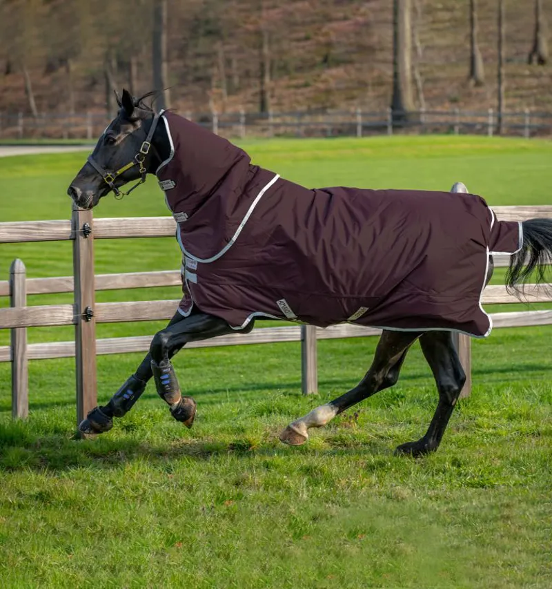 Horseware Amigo Hero Ripstop Plus 200g Turnout Rug - Fig/Silver-2