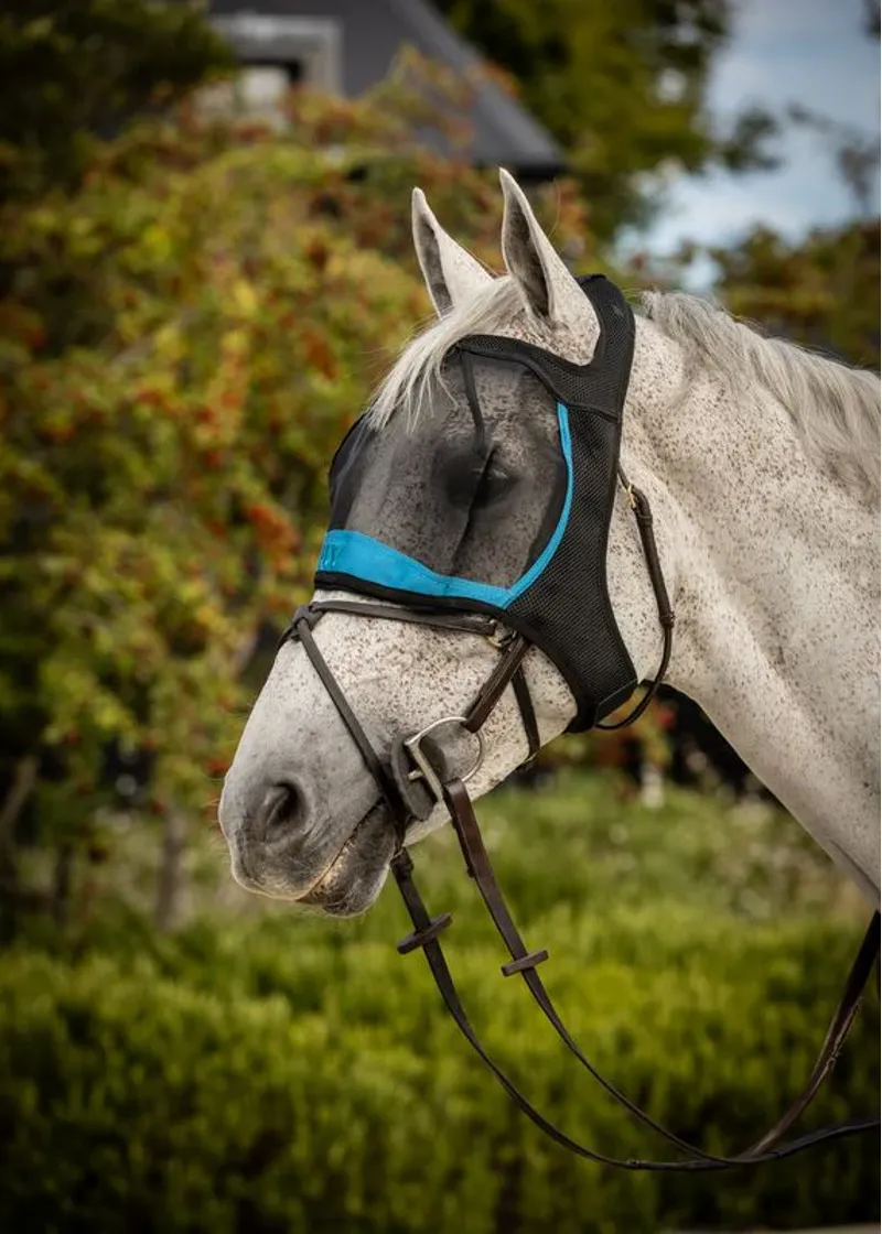 Woof Wear Ride On Fly Mask - Turquoise