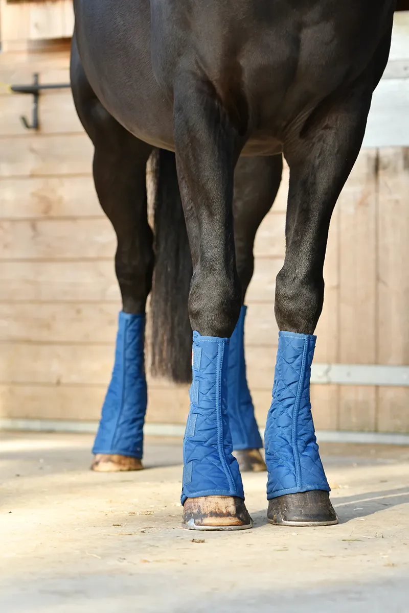 Equilibrium Equi-Chaps Stable Chaps - Navy-3