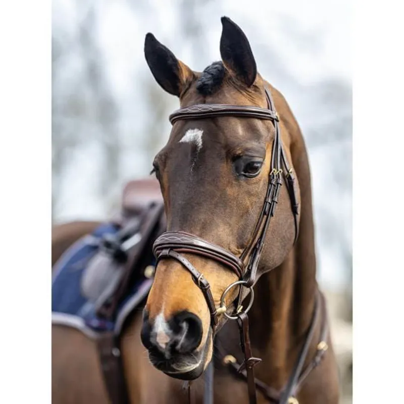 LeMieux Kudos Competition Flash Bridle - Havana-1