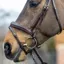 LeMieux Kudos Competition Flash Bridle - Havana