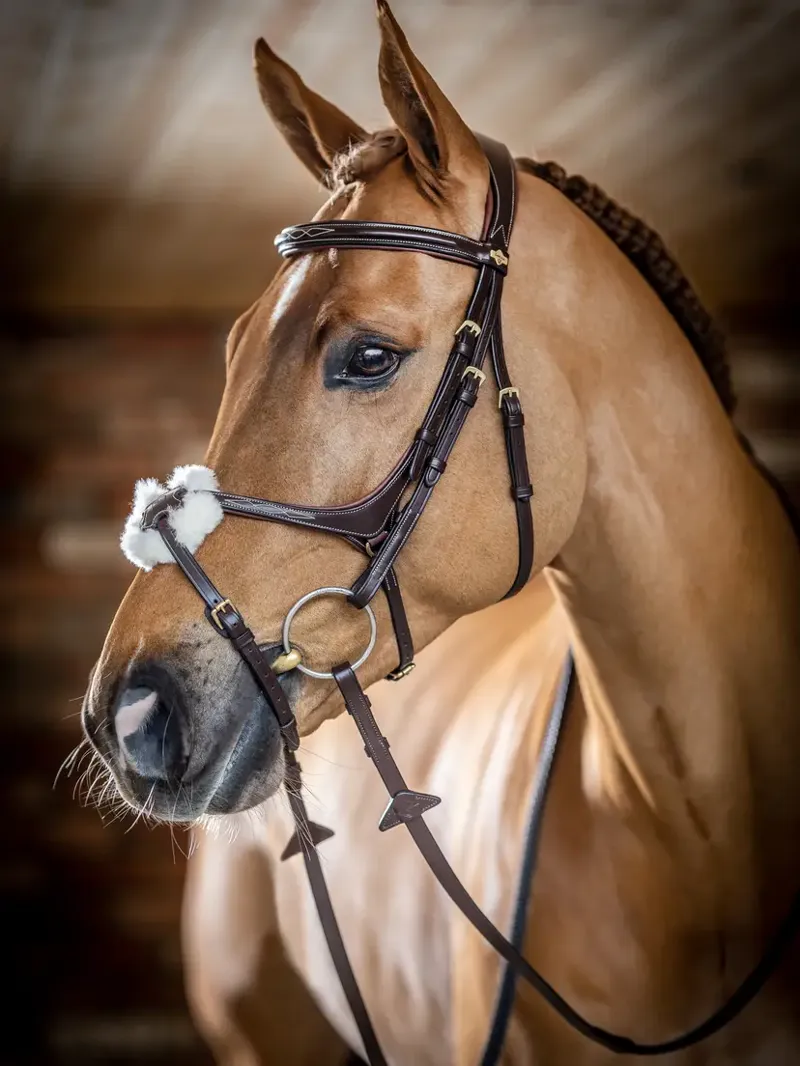 LeMieux Kudos Grackle Bridle - Havana-2