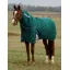 WeatherBeeta ComFiTec Plus Dynamic 0g Turnout Detach-A-Neck Rug - Forest Green