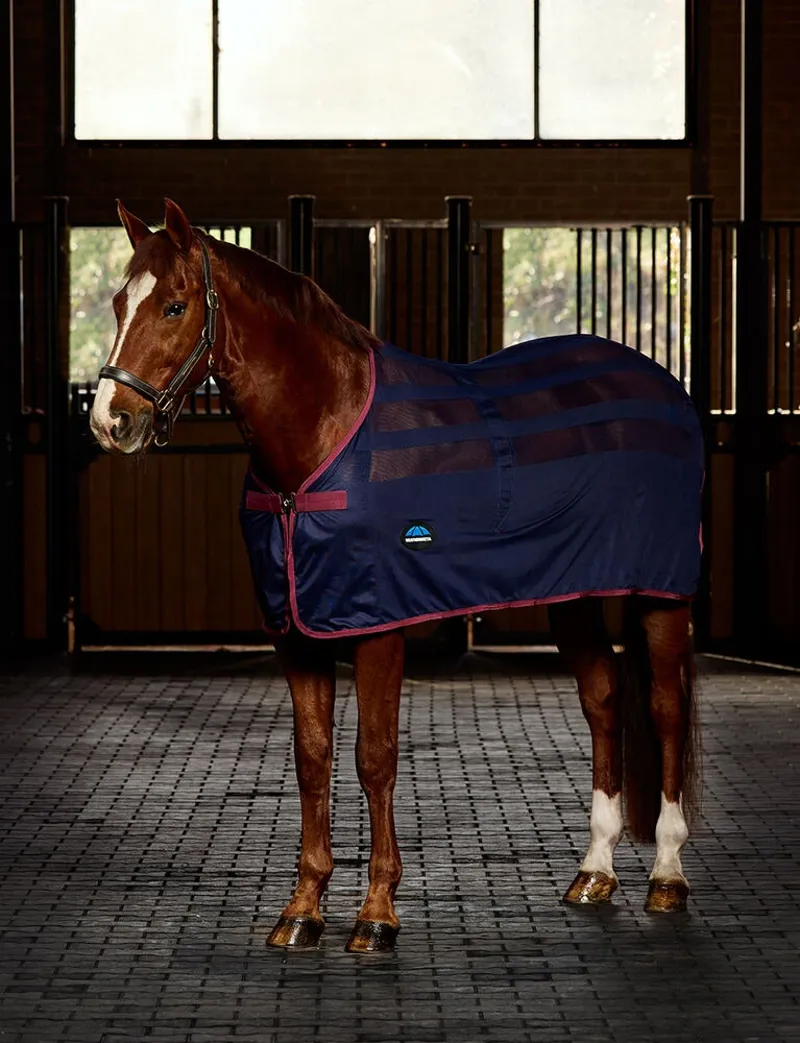 Horse Rugs Fleeces, Sheets & Cooler Rugs | Hatton Park Saddlery