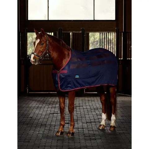 Weatherbeeta Chemise séchante Micro-Air Cooler Standard Neck (Burgundy Weatherbeeta Chemise séchante Micro-Air Cooler Standard Neck (Burgundy