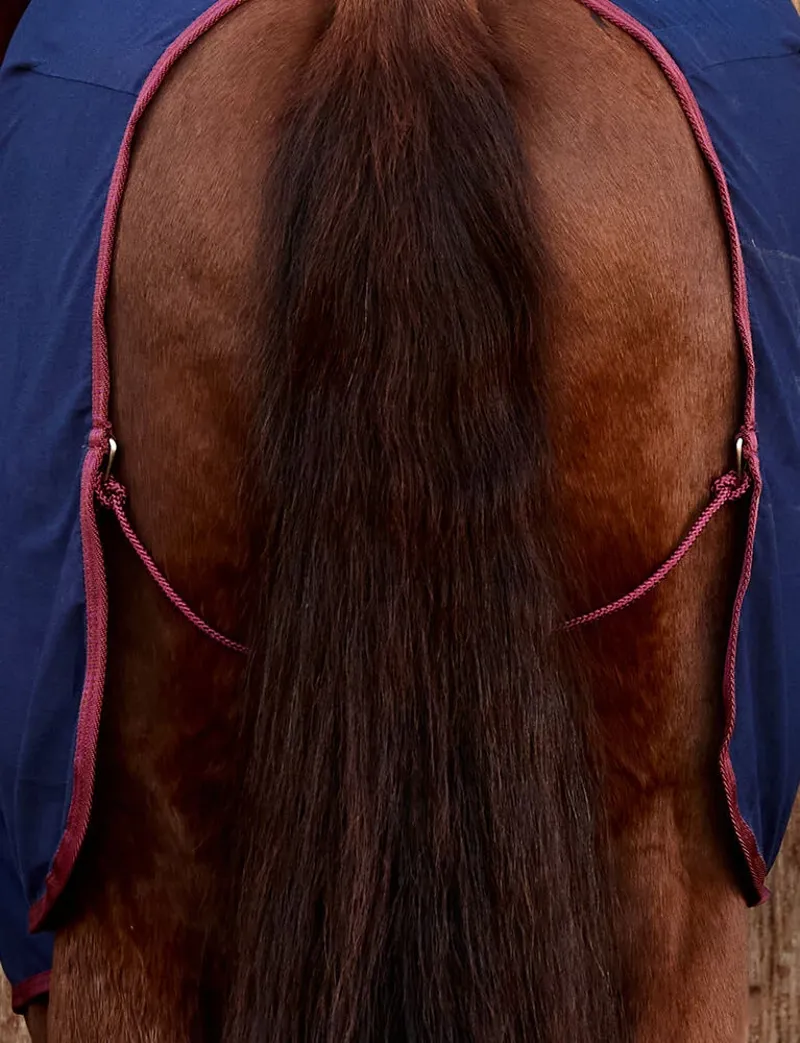 WeatherBeeta Cotton Sheet Standard Neck Rug - Navy/Burgundy -4