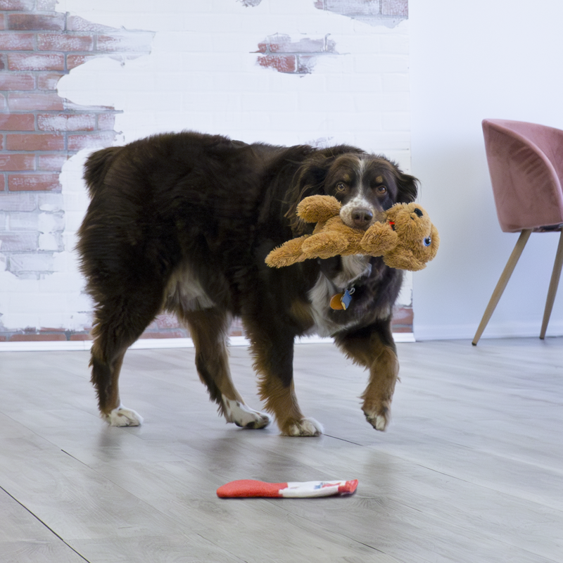 KONG Comfort Pups Goldie - Medium -2