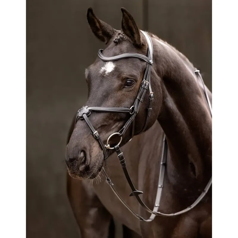 LeMieux Arika Grackle Bridle - Black/Silver-1