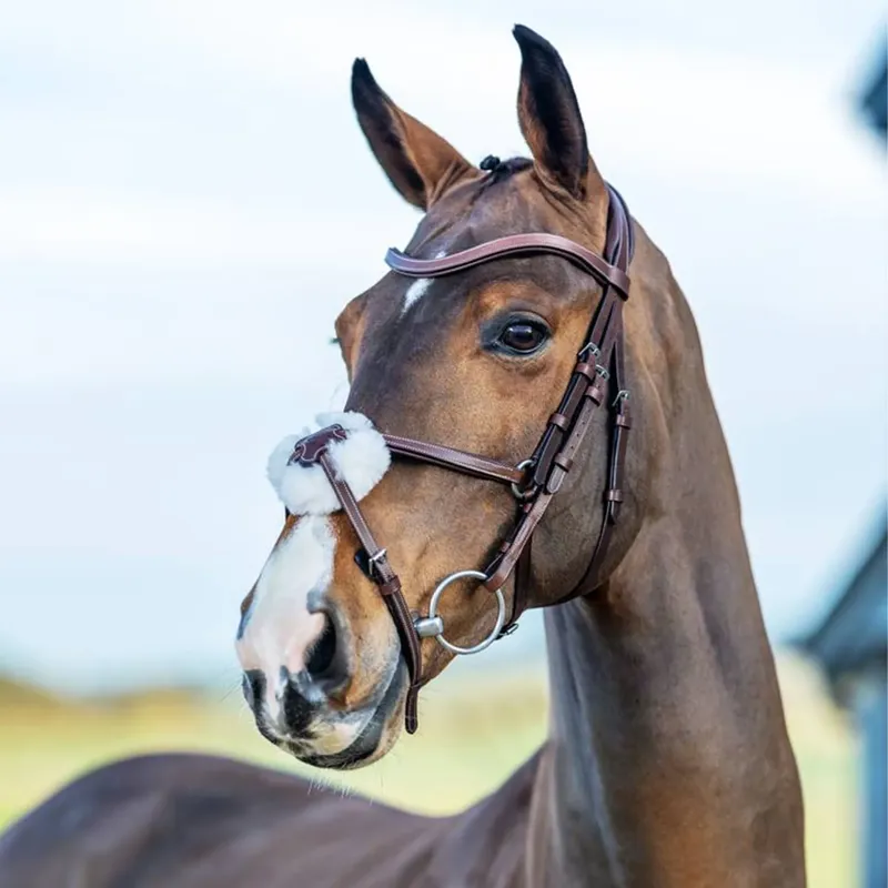 LeMieux Arika Grackle Bridle - Havana/Silver-1