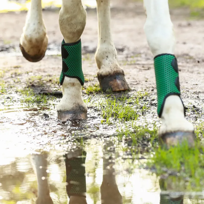 Equilibrium Tri-Zone All Sports Boots - Hunter Green-2